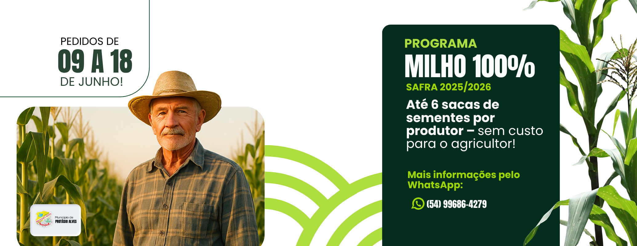 milho 100%