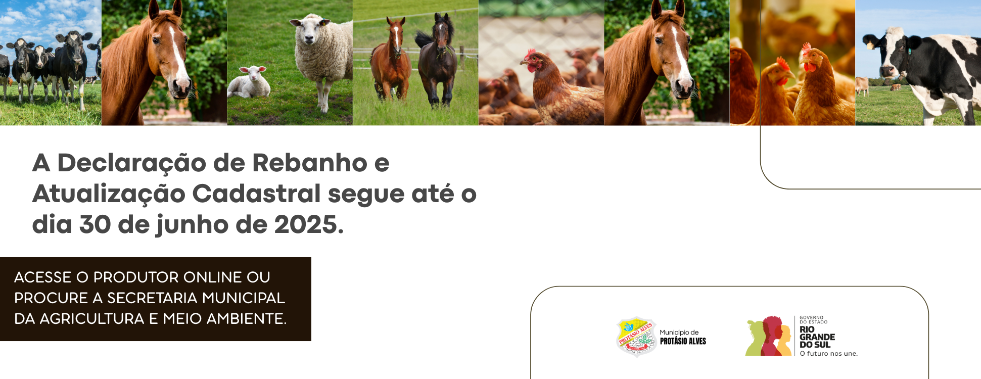 DECLARAÃÃO DE REBANHO